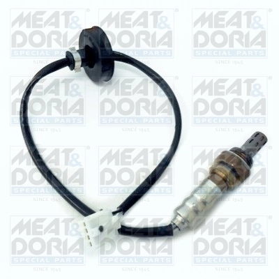 Oxygen Sensor